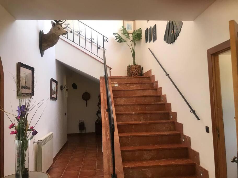 Villa Miramar Sant Llorenc Des Cardassar Dış mekan fotoğraf